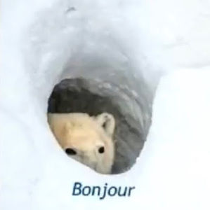 Meet your Posher, Thomas